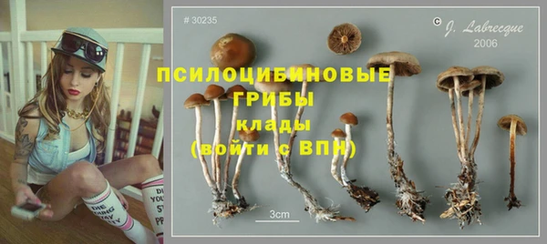 не бодяженный Армянск