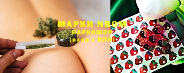 СК Аркадак
