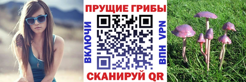 omg ссылки  Барыш  shop как зайти  Псилоцибиновые грибы мухоморы 